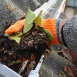 Gutter Cleaning